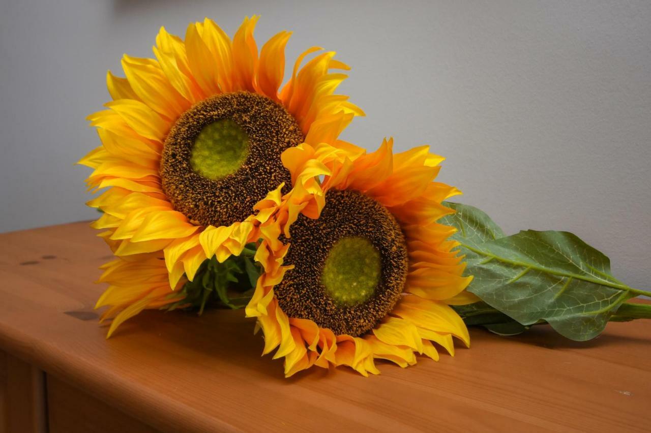 דסנזאנו דל גארדה Desenzanoloft Official Partner Marriott Homes & Villas - The Sunflower Front Lake מראה חיצוני תמונה